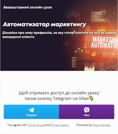 NoCode программист